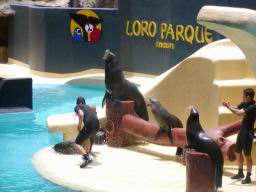 Resize of P21010099.JPG